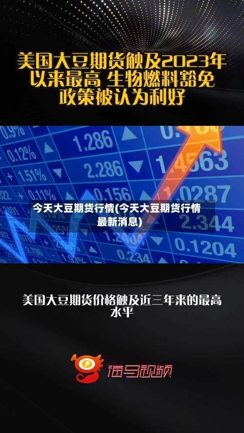 今天大豆期货行情(今天大豆期货行情最新消息)