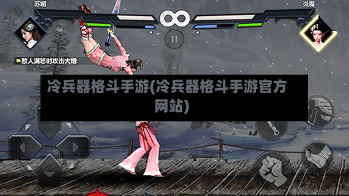 冷兵器格斗手游(冷兵器格斗手游官方网站)