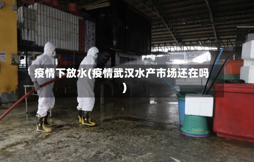疫情下放水(疫情武汉水产市场还在吗)