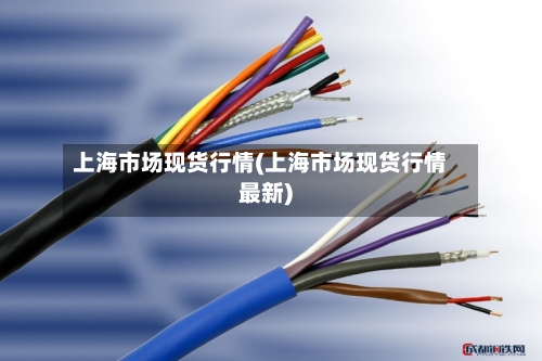 上海市场现货行情(上海市场现货行情最新)