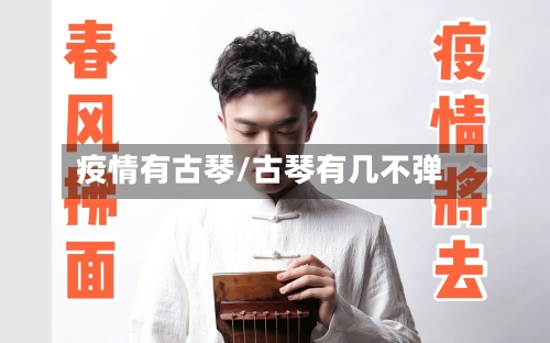 疫情有古琴/古琴有几不弹-第2张图片