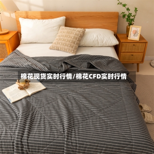 棉花现货实时行情/棉花CFD实时行情-第2张图片