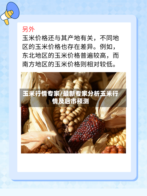 玉米行情专家/最新专家分析玉米行情及后市预测