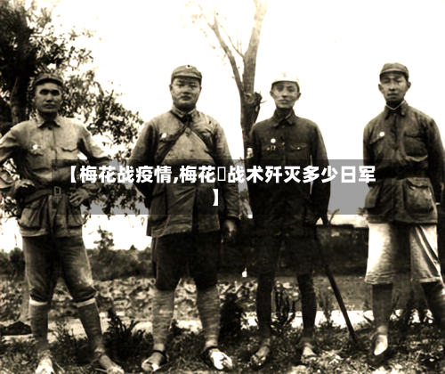 【梅花战疫情,梅花庒战术歼灭多少日军】-第2张图片