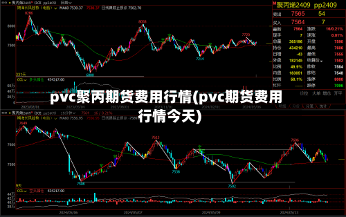 pvc聚丙期货费用行情(pvc期货费用行情今天)-第2张图片