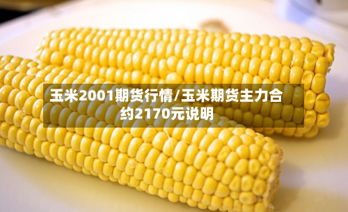 玉米2001期货行情/玉米期货主力合约2170元说明-第2张图片