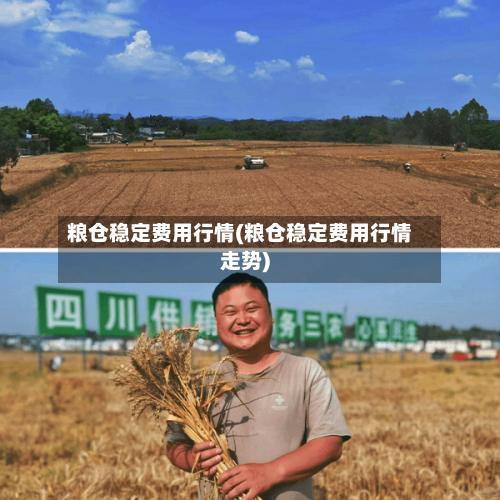 粮仓稳定费用行情(粮仓稳定费用行情走势)-第2张图片