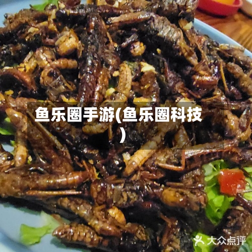 鱼乐圈手游(鱼乐圈科技)-第2张图片