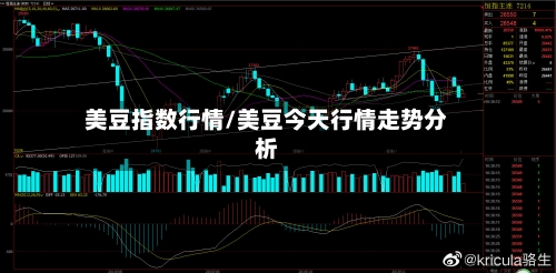 美豆指数行情/美豆今天行情走势分析-第2张图片