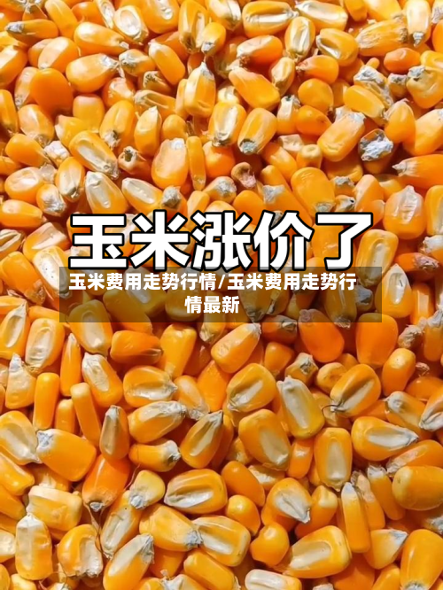 玉米费用走势行情/玉米费用走势行情最新