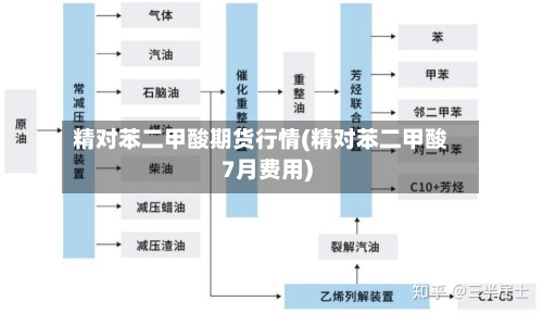 精对苯二甲酸期货行情(精对苯二甲酸7月费用)-第3张图片