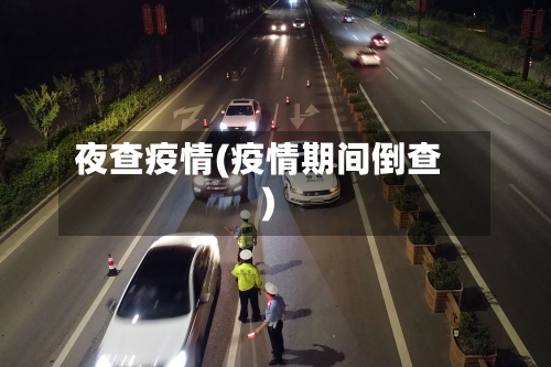 夜查疫情(疫情期间倒查)-第3张图片