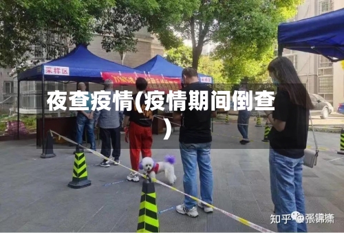 夜查疫情(疫情期间倒查)