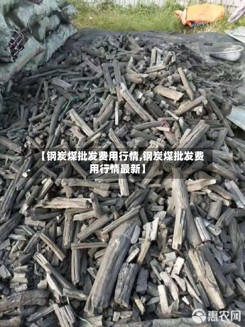 【钢炭煤批发费用行情,钢炭煤批发费用行情最新】-第2张图片