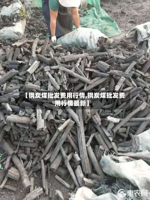 【钢炭煤批发费用行情,钢炭煤批发费用行情最新】-第3张图片