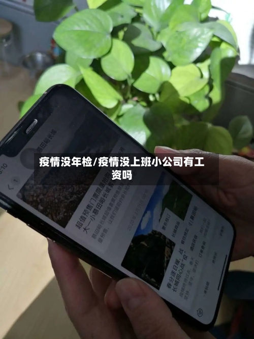 疫情没年检/疫情没上班小公司有工资吗-第3张图片