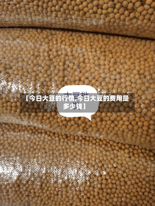 【今日大豆的行情,今日大豆的费用是多少钱】