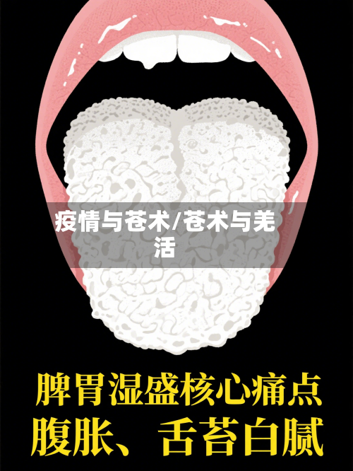 疫情与苍术/苍术与羌活