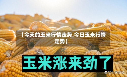 【今天的玉米行情走势,今日玉米行情走势】-第2张图片