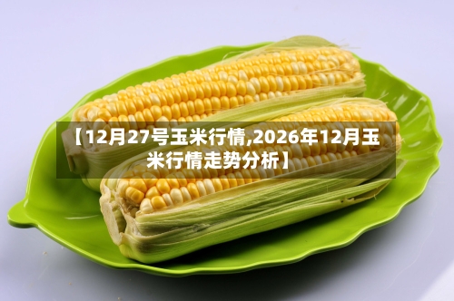 【12月27号玉米行情,2026年12月玉米行情走势分析】-第3张图片