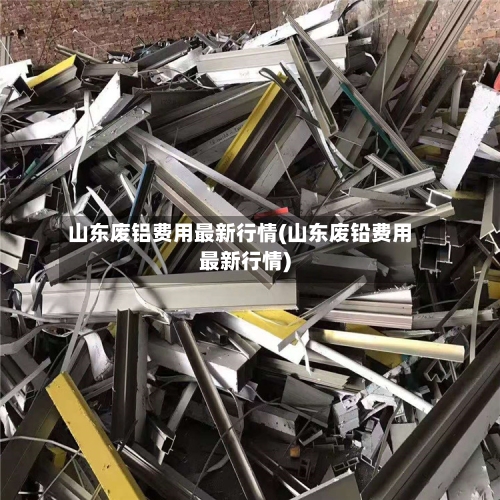 山东废铝费用最新行情(山东废铅费用最新行情)-第2张图片