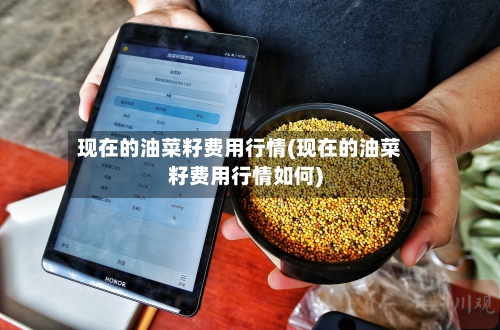 现在的油菜籽费用行情(现在的油菜籽费用行情如何)-第2张图片