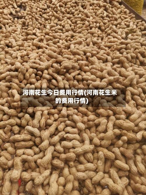 河南花生今日费用行情(河南花生米的费用行情)