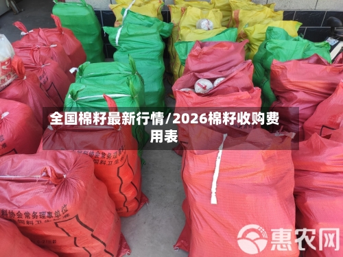 全国棉籽最新行情/2026棉籽收购费用表