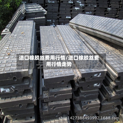 进口橡胶丝费用行情/进口橡胶丝费用行情走势