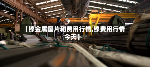 【镍金属图片和费用行情,镍费用行情今天】