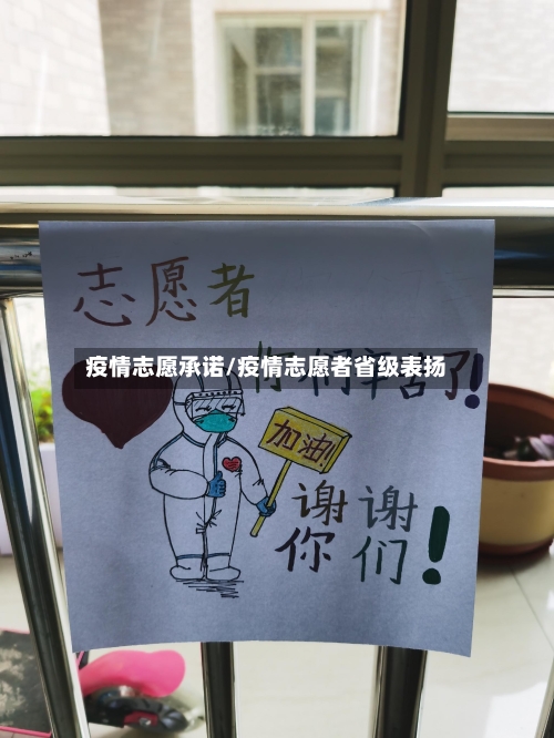 疫情志愿承诺/疫情志愿者省级表扬-第2张图片
