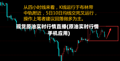 现货原油实时行情直播(原油实时行情手机应用)-第2张图片