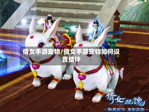 倩女手游宠物/倩女手游宠物如何设置结伴