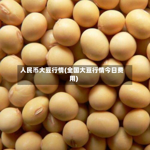 人民币大豆行情(全国大豆行情今日费用)-第3张图片