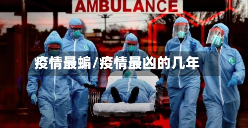 疫情最蝙/疫情最凶的几年-第2张图片