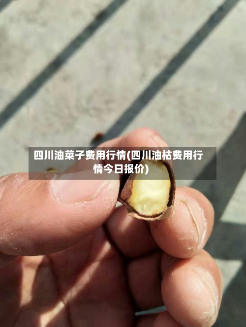 四川油菜子费用行情(四川油枯费用行情今日报价)-第3张图片