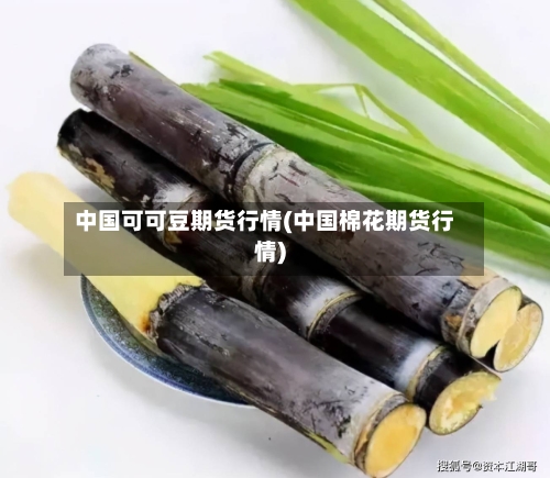 中国可可豆期货行情(中国棉花期货行情)-第2张图片