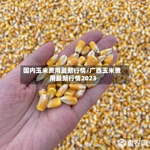 国内玉米费用最新行情/广西玉米费用最新行情2023