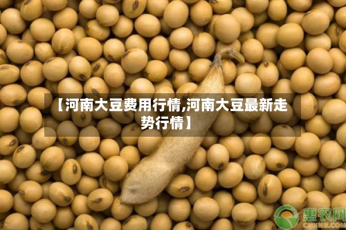 【河南大豆费用行情,河南大豆最新走势行情】