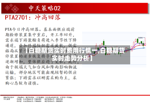 【白糖期货实时费用行情一,白糖期货实时走势分析】-第2张图片