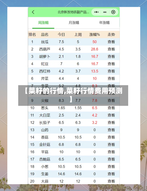 【菜籽的行情,菜籽行情费用预测】