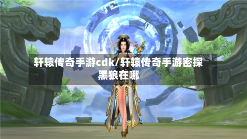 轩辕传奇手游cdk/轩辕传奇手游密探黑狼在哪-第2张图片