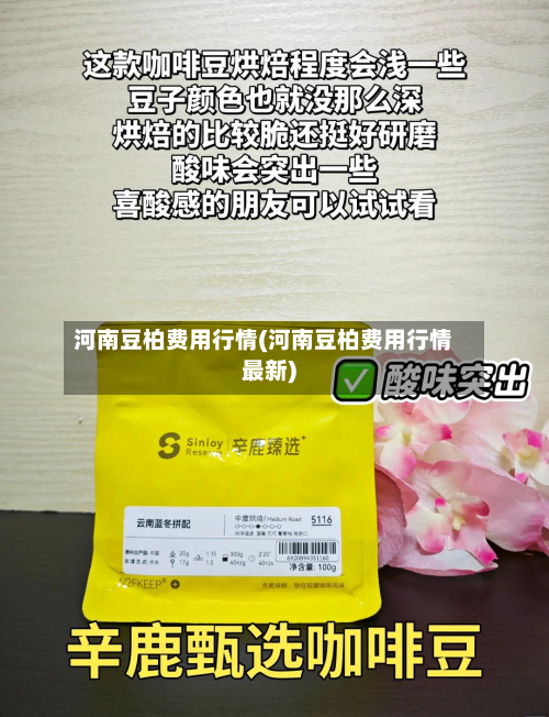 河南豆柏费用行情(河南豆柏费用行情最新)-第2张图片
