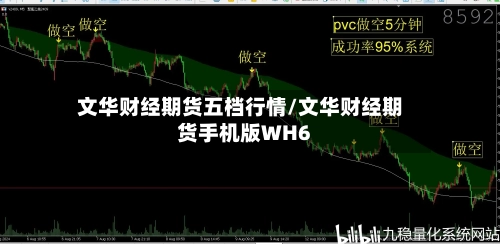 文华财经期货五档行情/文华财经期货手机版WH6