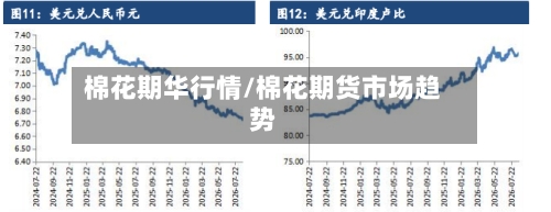 棉花期华行情/棉花期货市场趋势-第2张图片