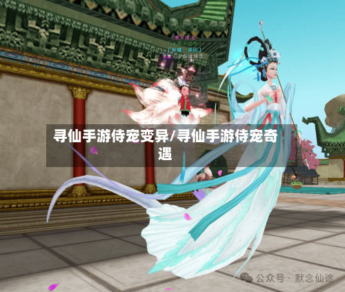 寻仙手游侍宠变异/寻仙手游侍宠奇遇