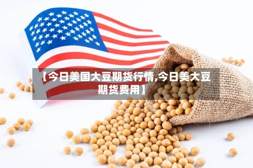 【今日美国大豆期货行情,今日美大豆期货费用】-第2张图片