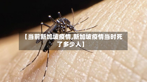【当前新加坡疫情,新加坡疫情当时死了多少人】-第2张图片