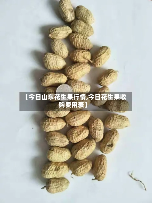 【今日山东花生果行情,今日花生果收购费用表】-第3张图片