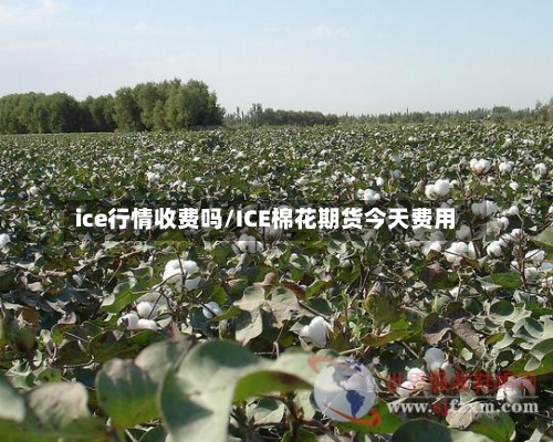 ice行情收费吗/ICE棉花期货今天费用